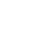 What We Offer Icon