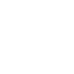 What We Offer Icon