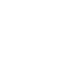 What We Offer Icon